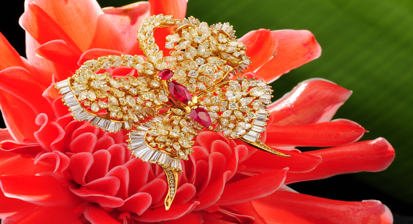 18K Yellow Gold with Ruby and Diamond Brooch